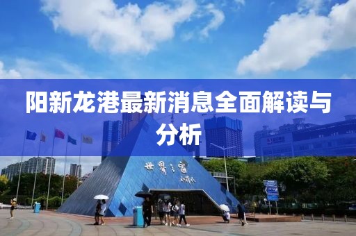 陽新龍港最新消息全面解讀與分析