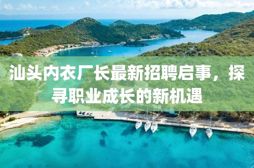 汕頭內(nèi)衣廠長(zhǎng)最新招聘啟事，探尋職業(yè)成長(zhǎng)的新機(jī)遇