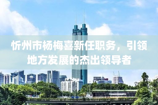 忻州市楊梅喜新任職務(wù)，引領(lǐng)地方發(fā)展的杰出領(lǐng)導(dǎo)者