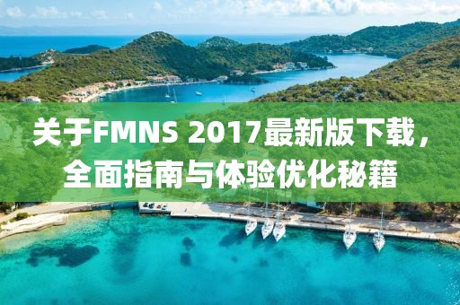 關(guān)于FMNS 2017最新版下載，全面指南與體驗優(yōu)化秘籍
