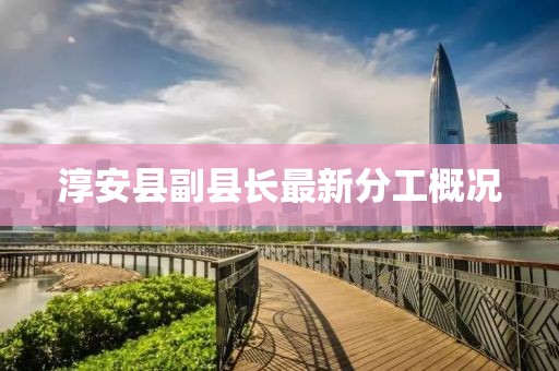 淳安縣副縣長最新分工概況
