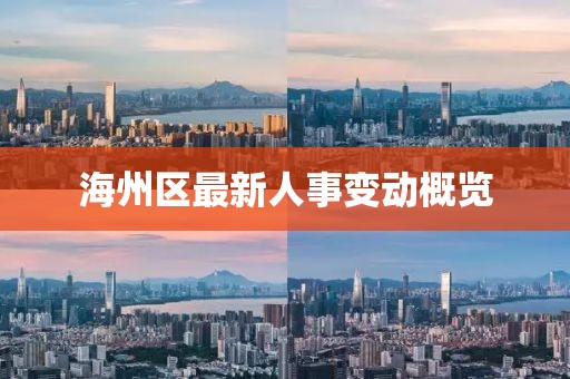 海州區(qū)最新人事變動概覽