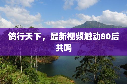 鴿行天下，最新視頻觸動80后共鳴