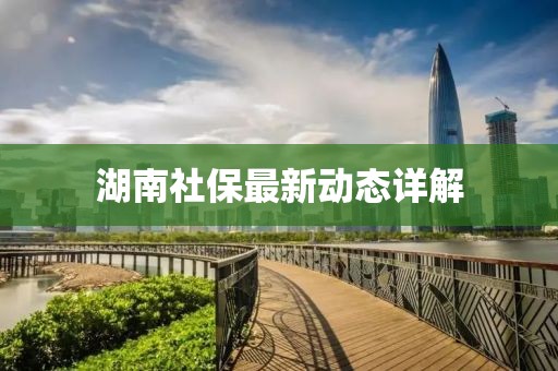湖南社保最新動態(tài)詳解