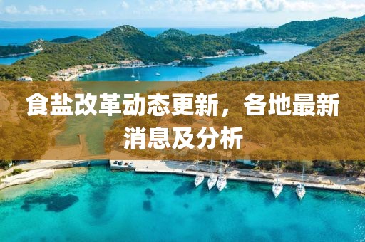 食鹽改革動態(tài)更新，各地最新消息及分析