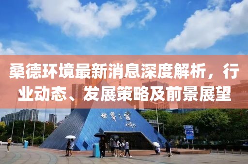 桑德環(huán)境最新消息深度解析，行業(yè)動態(tài)、發(fā)展策略及前景展望