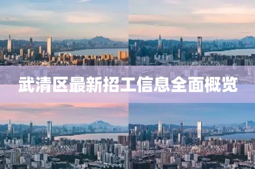 武清區(qū)最新招工信息全面概覽