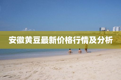 安徽黃豆最新價(jià)格行情及分析