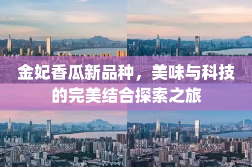 金妃香瓜新品種，美味與科技的完美結(jié)合探索之旅