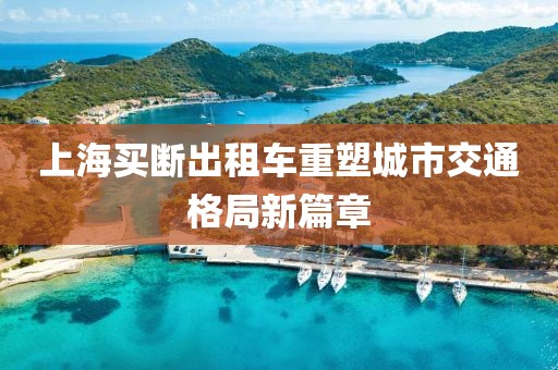 上海買斷出租車重塑城市交通格局新篇章