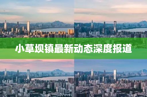 小草壩鎮(zhèn)最新動(dòng)態(tài)深度報(bào)道