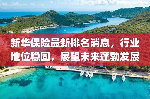 新華保險最新排名消息，行業(yè)地位穩(wěn)固，展望未來蓬勃發(fā)展