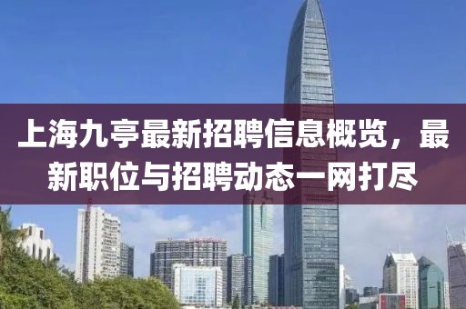 上海九亭最新招聘信息概覽，最新職位與招聘動(dòng)態(tài)一網(wǎng)打盡