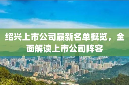 紹興上市公司最新名單概覽，全面解讀上市公司陣容