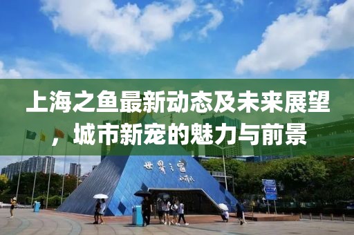 上海之魚最新動態(tài)及未來展望，城市新寵的魅力與前景