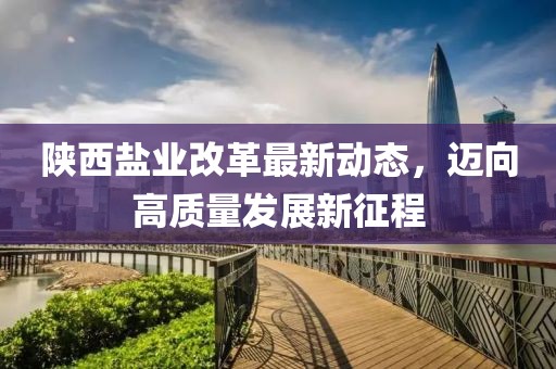 陜西鹽業(yè)改革最新動(dòng)態(tài)，邁向高質(zhì)量發(fā)展新征程