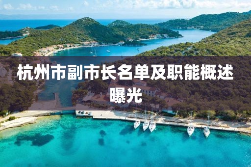 杭州市副市長名單及職能概述曝光