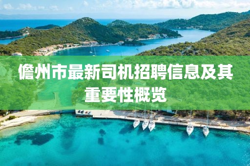 儋州市最新司機(jī)招聘信息及其重要性概覽