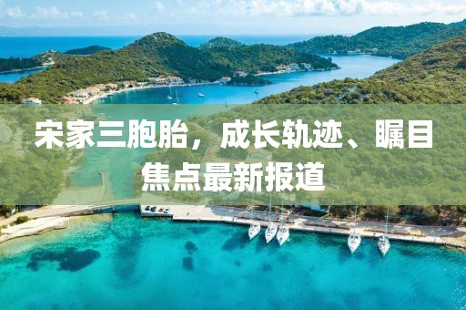 宋家三胞胎，成長軌跡、矚目焦點最新報道