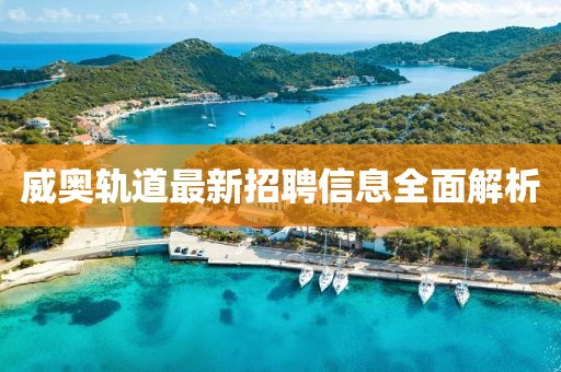 威奧軌道最新招聘信息全面解析