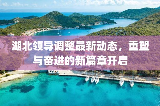 湖北領(lǐng)導調(diào)整最新動態(tài)，重塑與奮進的新篇章開啟