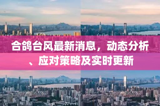 合鴿臺(tái)風(fēng)最新消息，動(dòng)態(tài)分析、應(yīng)對(duì)策略及實(shí)時(shí)更新
