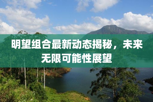 明望組合最新動態(tài)揭秘，未來無限可能性展望