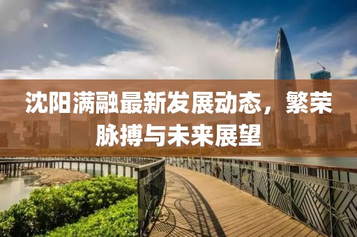 沈陽滿融最新發(fā)展動態(tài)，繁榮脈搏與未來展望