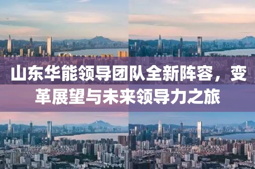 山東華能領(lǐng)導團隊全新陣容，變革展望與未來領(lǐng)導力之旅