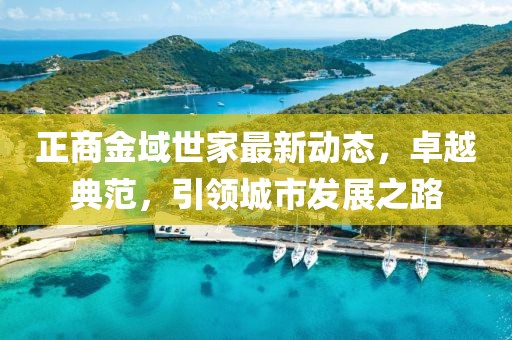 正商金域世家最新動態(tài)，卓越典范，引領(lǐng)城市發(fā)展之路