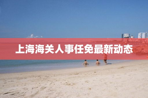 上海海關(guān)人事任免最新動(dòng)態(tài)
