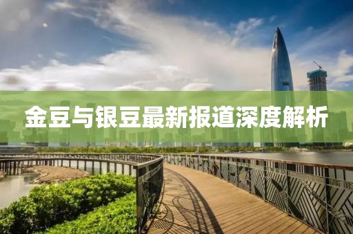 金豆與銀豆最新報道深度解析