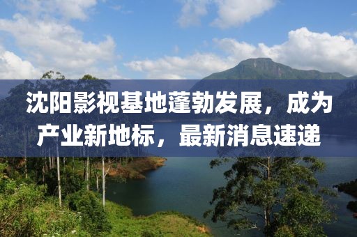 沈陽影視基地蓬勃發(fā)展，成為產(chǎn)業(yè)新地標(biāo)，最新消息速遞
