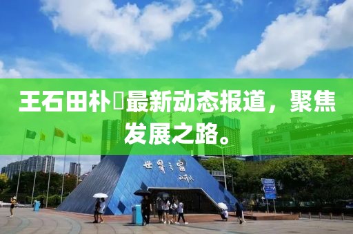 王石田樸琤最新動態(tài)報道，聚焦發(fā)展之路。