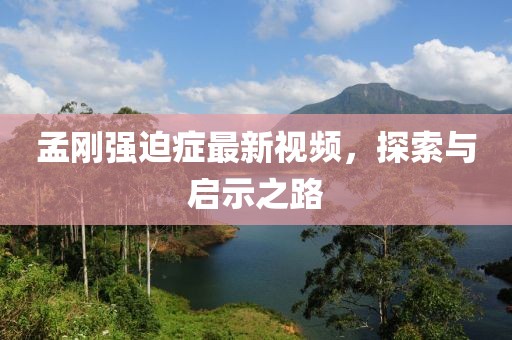 孟剛強迫癥最新視頻，探索與啟示之路