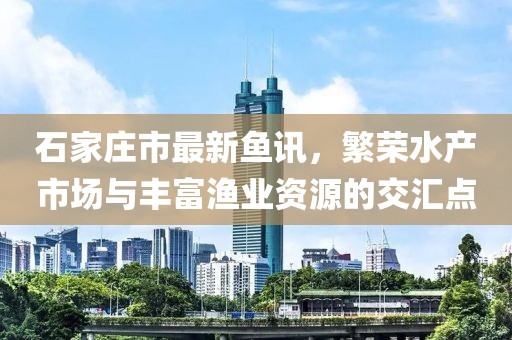 石家莊市最新魚訊，繁榮水產(chǎn)市場(chǎng)與豐富漁業(yè)資源的交匯點(diǎn)