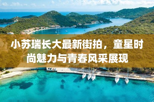 小蘇瑞長(zhǎng)大最新街拍，童星時(shí)尚魅力與青春風(fēng)采展現(xiàn)