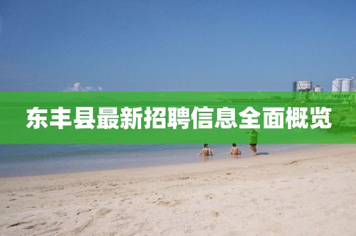 東豐縣最新招聘信息全面概覽