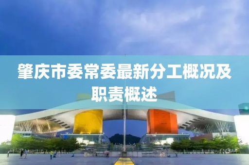 肇慶市委常委最新分工概況及職責(zé)概述