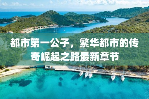 都市第一公子，繁華都市的傳奇崛起之路最新章節(jié)