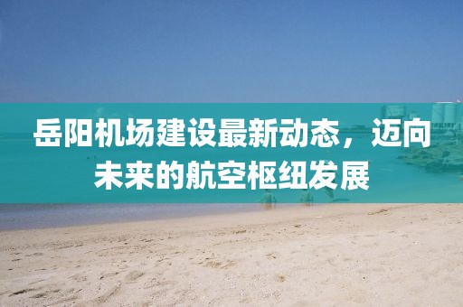 岳陽(yáng)機(jī)場(chǎng)建設(shè)最新動(dòng)態(tài)，邁向未來的航空樞紐發(fā)展