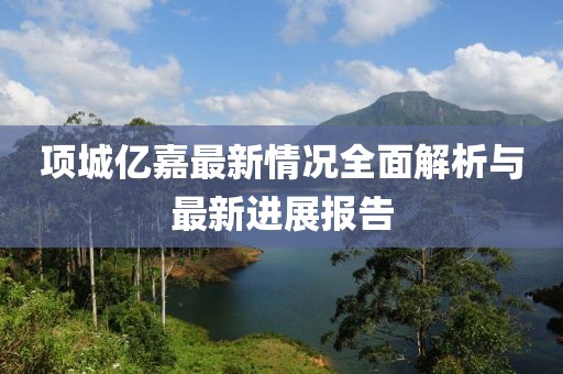 項(xiàng)城億嘉最新情況全面解析與最新進(jìn)展報(bào)告