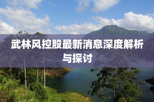 武林風(fēng)控股最新消息深度解析與探討