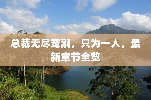 總裁無盡寵溺，只為一人，最新章節(jié)全覽