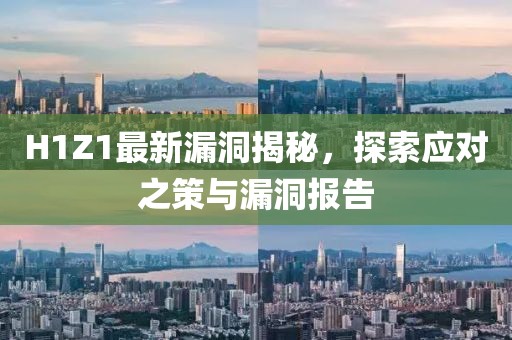 H1Z1最新漏洞揭秘，探索應對之策與漏洞報告