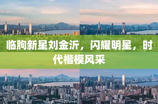 臨朐新星劉金沂，閃耀明星，時代楷模風采