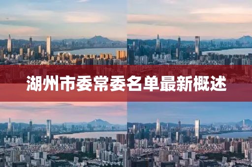 湖州市委常委名單最新概述