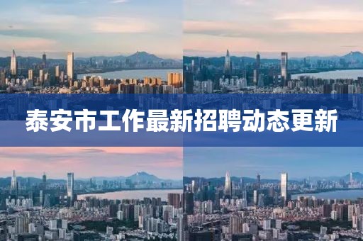 泰安市工作最新招聘動態(tài)更新