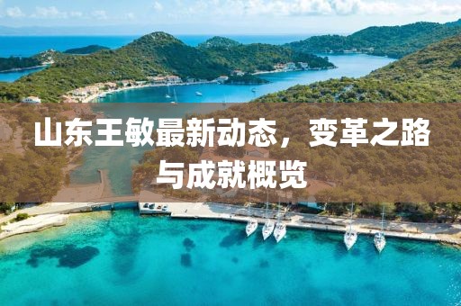 山東王敏最新動態(tài)，變革之路與成就概覽