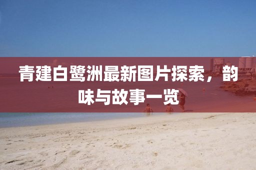青建白鷺洲最新圖片探索，韻味與故事一覽